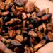 Imagen de cacao en mano