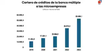 Crédito de la banca múltiple a las microempresas