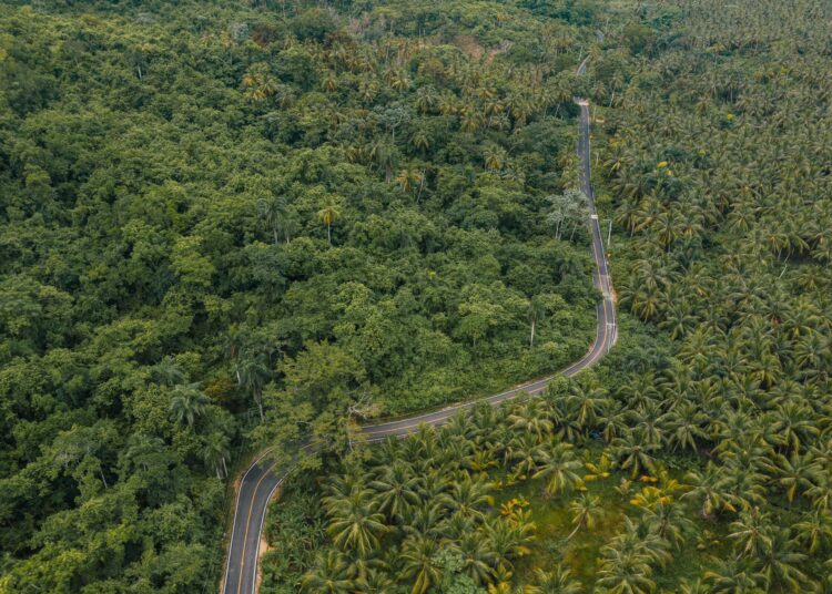 Vista aérea Samaná