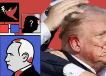 Cover Noticias Diario Financiero