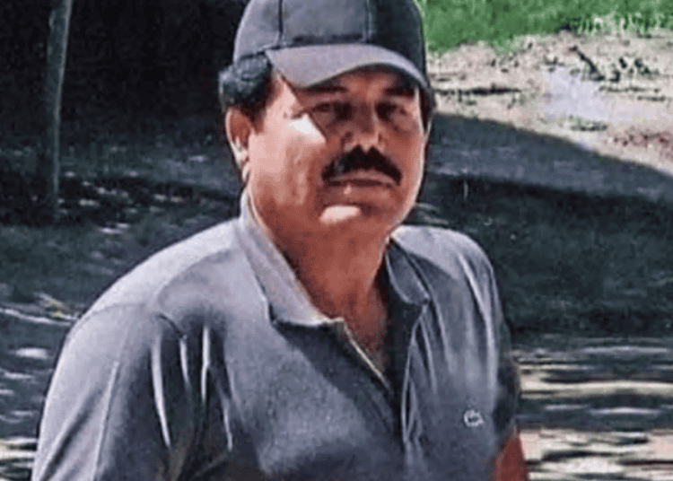 Ismael "El Mayo" Zambada