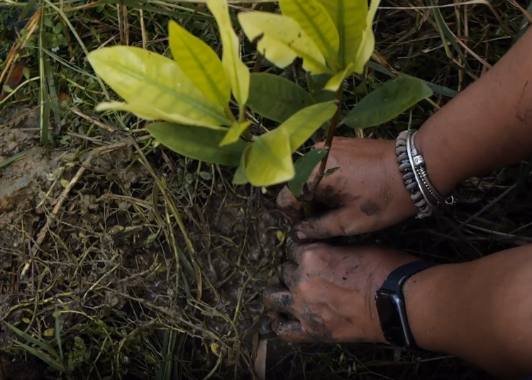 El medio ambiente es una de las áreas prioritarias