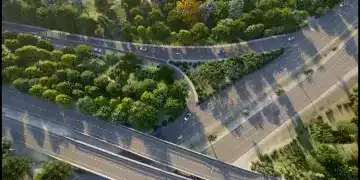 Autopista 6 de Noviembre