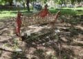 Estado actual parque de la fraternidad 7/12