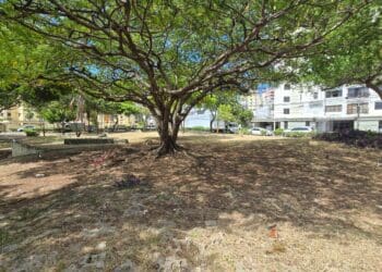 Estado actual parque de la fraternidad 14 de octubre 2024 (Diario Financiero)