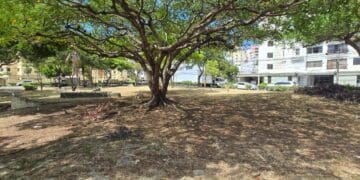 Estado actual parque de la fraternidad 14 de octubre 2024 (Diario Financiero)