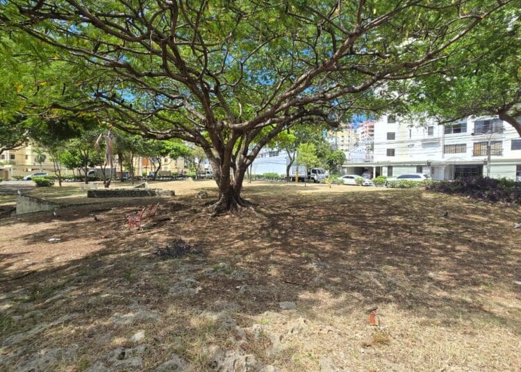 Estado actual parque de la fraternidad 14 de octubre 2024 (Diario Financiero)