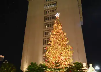 Árbol de navidad del Banco Central de la República Dominicana
