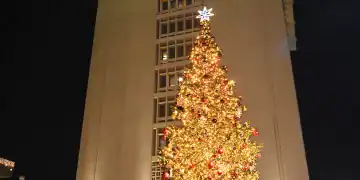Árbol de navidad del Banco Central de la República Dominicana