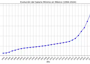 Evolución del Salario Mínimo en México (1994-2024)