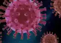 metapneumovirus humano
