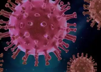 metapneumovirus humano