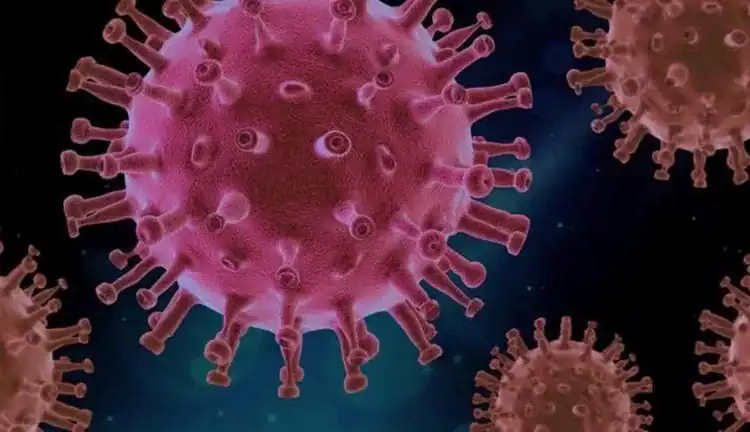 metapneumovirus humano