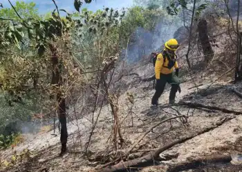 Aumento salarial bomberos forestales - DIARIO FINANCIERO