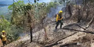 Aumento salarial bomberos forestales - DIARIO FINANCIERO