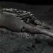 Escaneo 3D del Titanic Revela Detalles Inéditos del Hundimiento