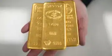 Los Ricos Refugian Capital en Oro, Efectivo y Fideicomisos
