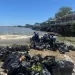 Brigadas del Distrito Nacional limpian playa afectada por arrastre del río Ozama