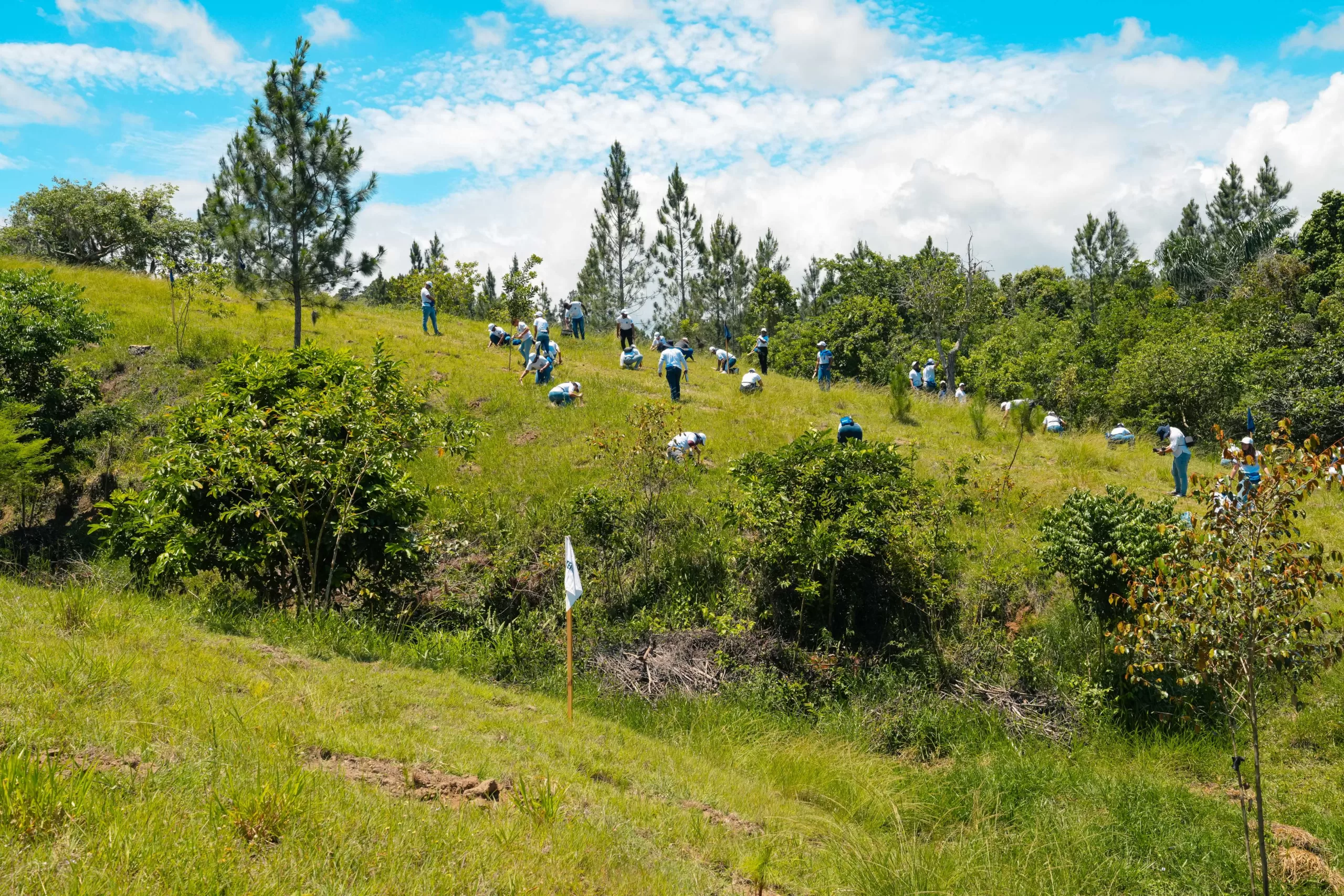 Las jornadas de reforestación son parte del modelo de sostenibilidad del Grupo Popular, realizadas desde hace más de dos décadas. 
