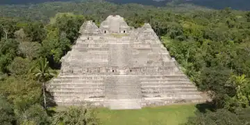 he ruined Maya city of Caracol in Belize is dominated by the Caana pyramid, which was once a temple. The newfound tomb was in a raised area immediately to the right, underneath the modern canopy of trees (Image credit: Caracol Archaeological Project, University of Houston)