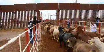 Créditos: X, Alfonso Durazo