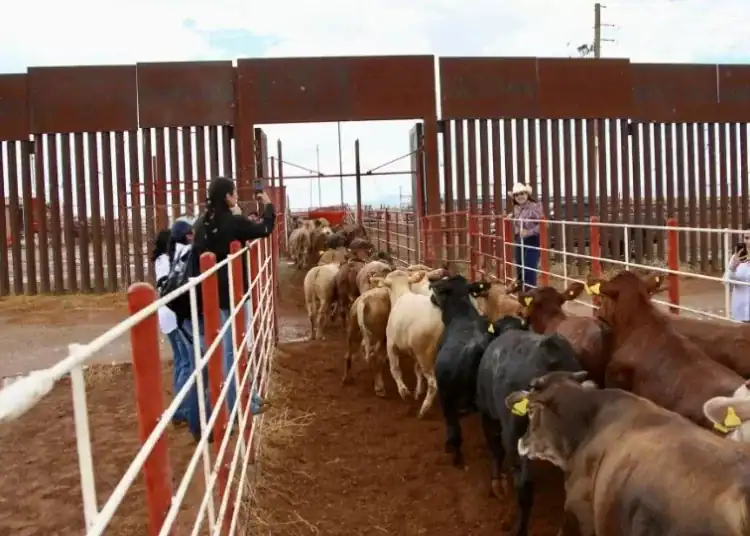 Créditos: X, Alfonso Durazo