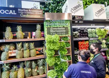 Bogota, Colombia, El Chico, Carulla SmartMarket supermarket, hydroponic lettuce display, pineapples and plastic-free shopping, two employees. (Photo by: Jeffrey Greenberg/Universal Images Group via Getty Images)