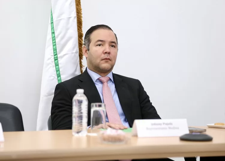 El secretario general del Partido de la Liberación Dominicana (PLD), Johnny Pujols