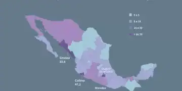 Mapa administrativo de México que muestra la tasa de homicidios cada 100.000 habitantes por estado en 2025, al 31 de julio, según datos del Instituto Nacional de Estadística y Geografía (Inegi) (Infografía de Gustavo IZUS y Gabriela VAZ / AFP)
