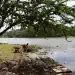 A man picks up trash from the shore of the river Osama at the beginning of the rainy season in Dominican Republic on May 31, 2012 in Santo Domingo. Dominican people take the necessary measures to prepare for the 2012 Atlantic hurricane season that begins officialy on June 1 and ends on November 30.   AFP PHOTO / ERIKA SANTELICES        (Photo credit should read ERIKA SANTELICES/AFP/GettyImages)