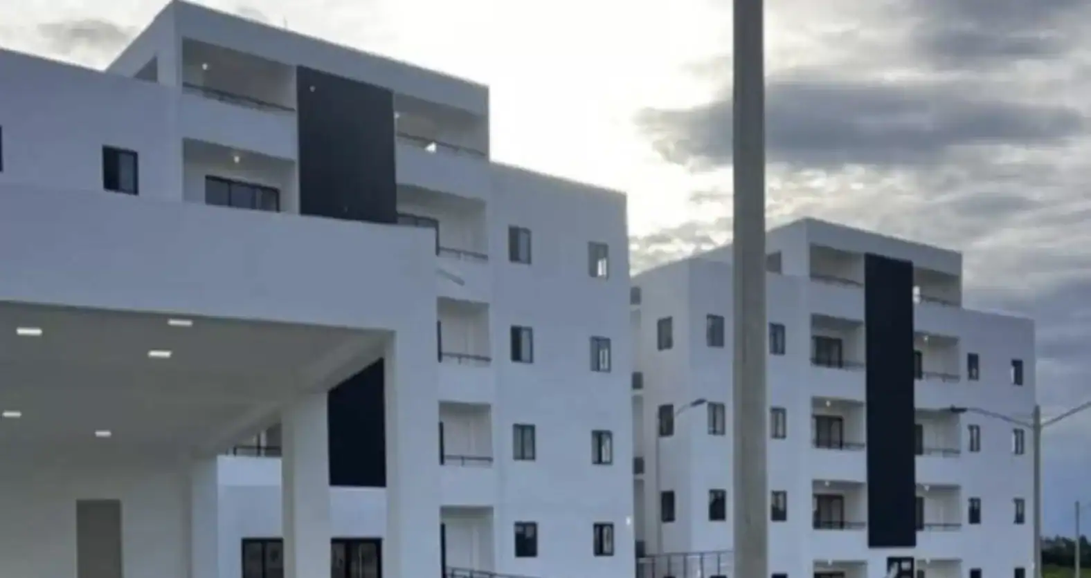 Quintas Palmera en estepa de construcción 