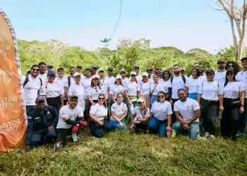 Motor Crédito impulsa reforestación en Los Humedales del Ozama con 500 plantas nativas