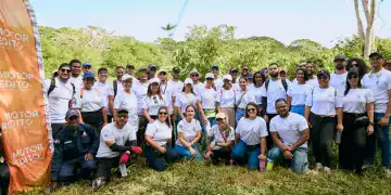 Motor Crédito impulsa reforestación en Los Humedales del Ozama con 500 plantas nativas