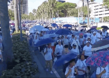 Caminata Un Paso por Mi Familia 2025