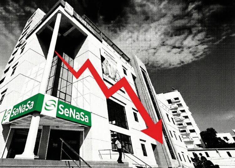 El Colapso de SENASA / Ilustración Diario Financiero