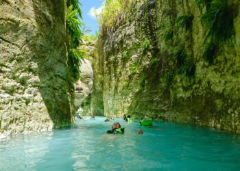 Onasis Cedano Photo Capture