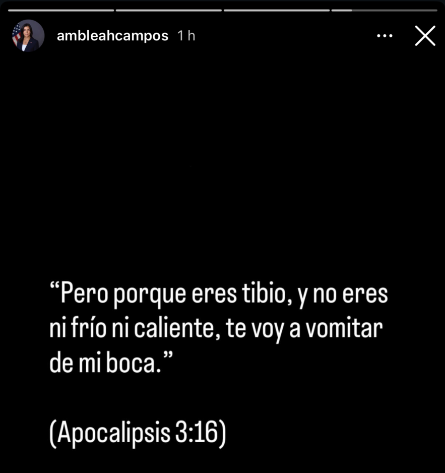 Embajadora De EEUU Cuestiona Participación Dominicana En Cumbre De Izquierdas