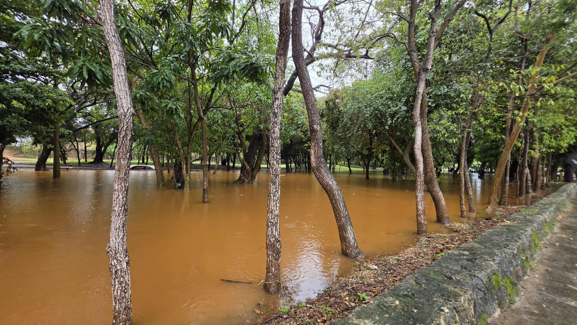 Inundación en la Av. Anacaona por Vaguada de Abril 2026