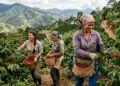 Imagen ilustrativa sobre empleo femenino en América Latina