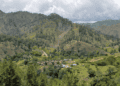 Sabaneta, San Juan de la Maguana en donde se iba a desarrollar el proyecto romero