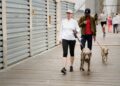 Persona paseando a su perro en un puente de Nueva York