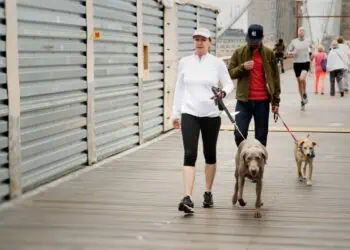 Persona paseando a su perro en un puente de Nueva York