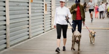 Persona paseando a su perro en un puente de Nueva York