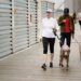 Persona paseando a su perro en un puente de Nueva York