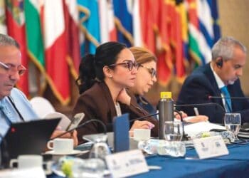 La ministra de Interior y Policía, Faride Raful durante un encuentro