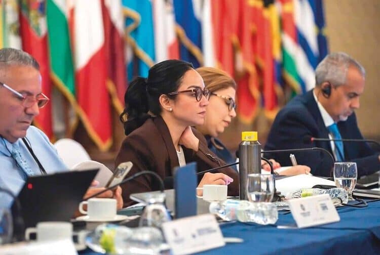 La ministra de Interior y Policía, Faride Raful durante un encuentro