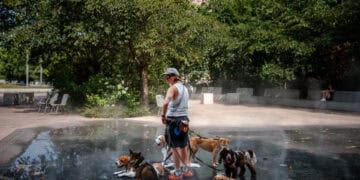 A caring dog sitter cools off dogs in a mist fountain as France experiences a heatwave, in central Paris on June 23, 2026. (Photo by Dimitar DILKOFF / AFP)