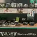 Cámaras analógicas desechables de Fujifilm exhibidas para su relanzamiento este verano