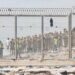 Fuerzas de seguridad marroquíes controlan la frontera entre Fnideq y Ceuta tras los enfrentamientos con migrantes
