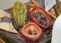 Sacos de cacao dominicano listos para exportación en un almacén de República Dominicana